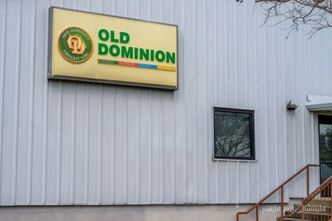 عملکرد سهام Old Dominion Freight: درخشش یا زوال در صنعت حمل‌ونقل؟